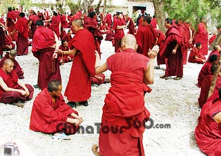 Lamas in Sera Monastery