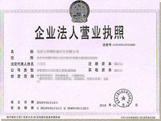 Company License
