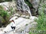 Jiujiang Lushan National Park