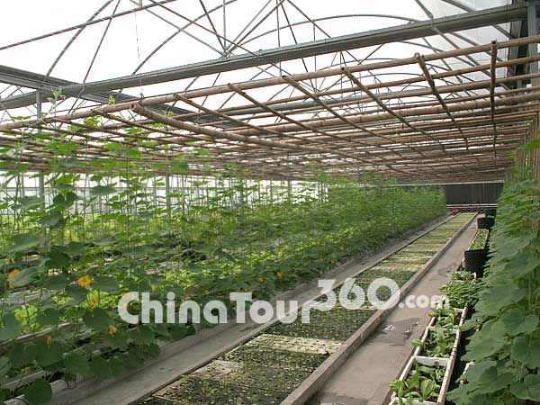 Agricultural Technology Exhibition Park in Yangling