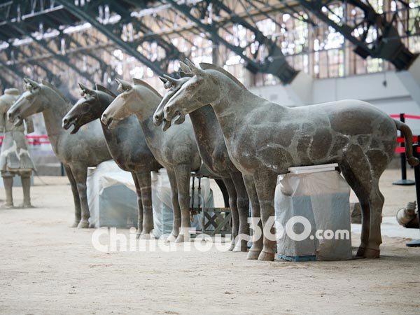 Terrocatta Horses under Renovation