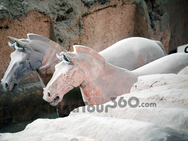 Lifelike Terracotta Horses