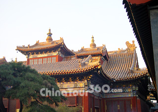 Buildings of Lama Temple