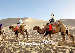 Camel Tour in Mingsha Mountain