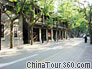 A clean street of Xintiandi
