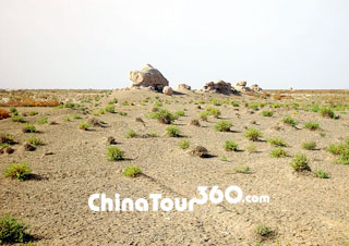 Broken Walls on Gobi Desert