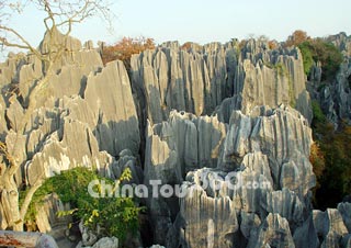 Stone Forest, Yunnan