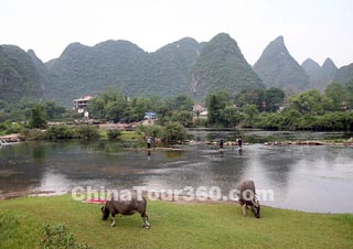 Beautiful Scenery in Yangshuo 