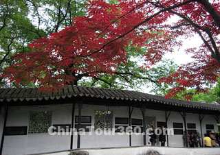 Humble Administrator's Garden, Suzhou